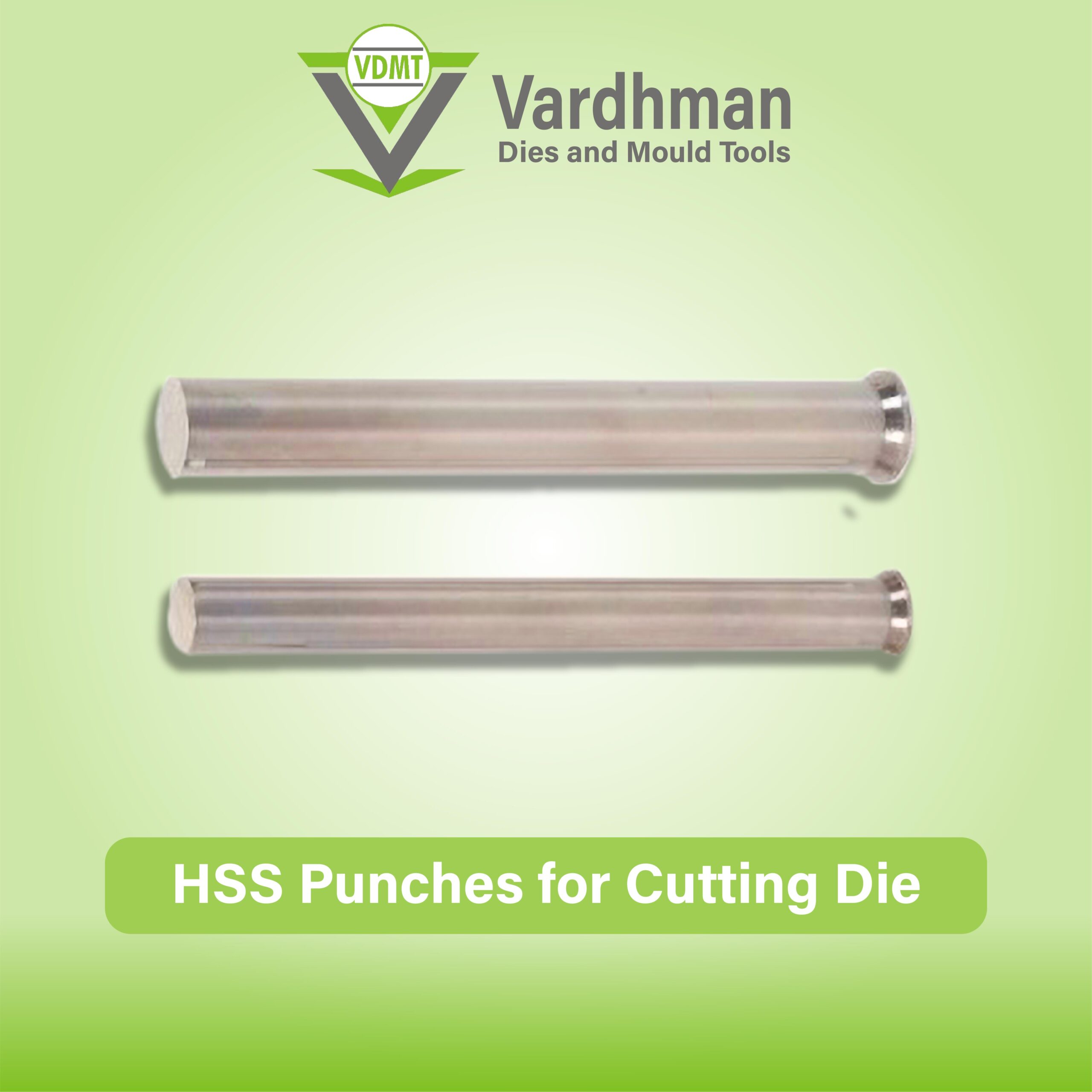 HSS Punches for Cutting Die 1 scaled